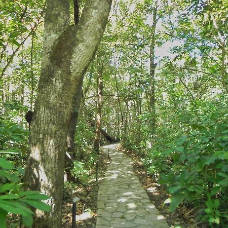 Pousada Eden - Conforto, Imersao E Natureza São Jorge Exteriér fotografie