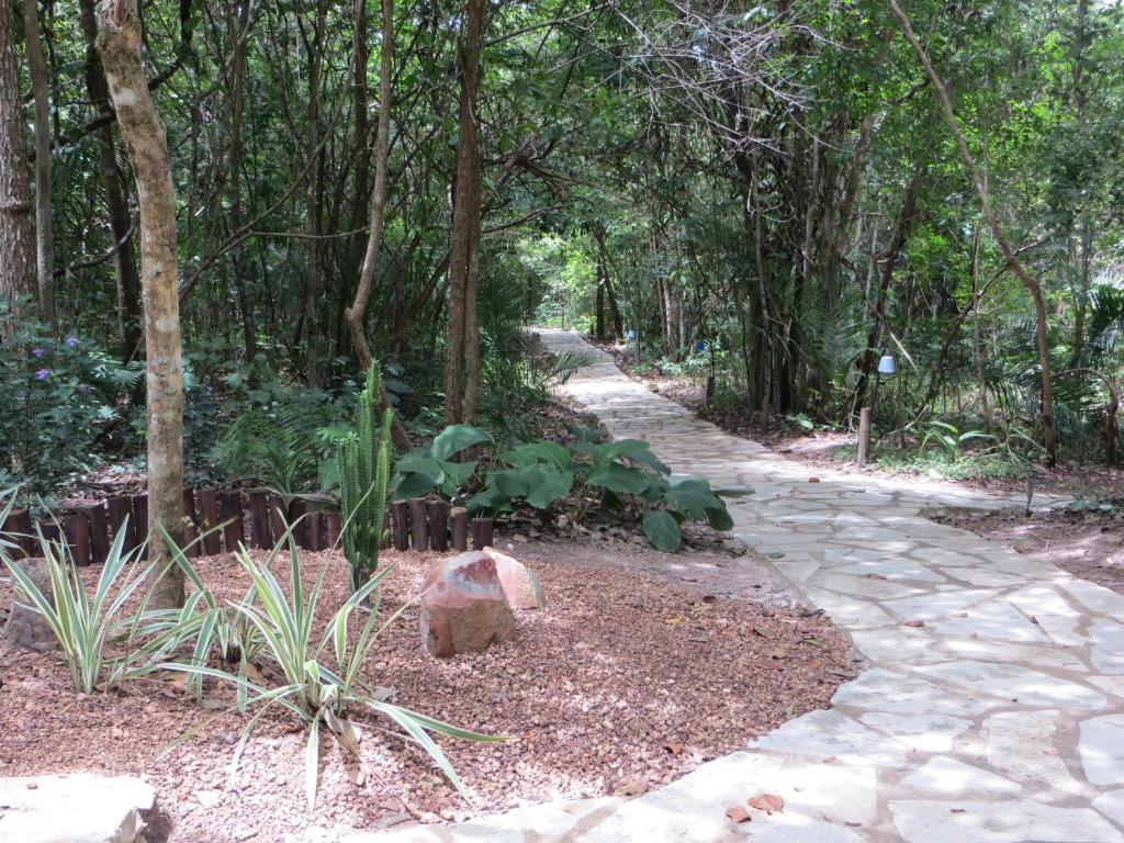 Pousada Eden - Conforto, Imersao E Natureza São Jorge Exteriér fotografie