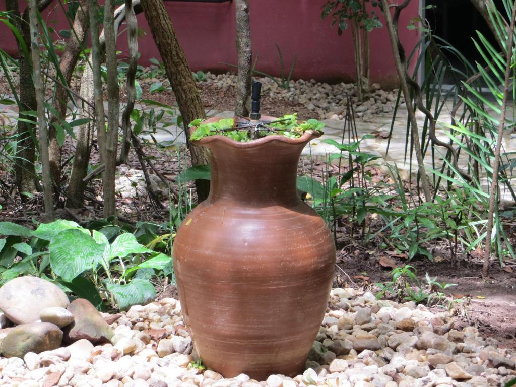 Pousada Eden - Conforto, Imersao E Natureza São Jorge Exteriér fotografie